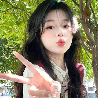 一日偶像署长的事件簿