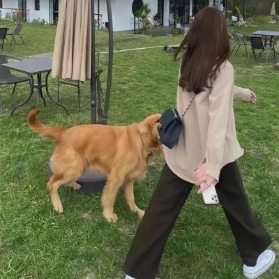 脚踏三条船