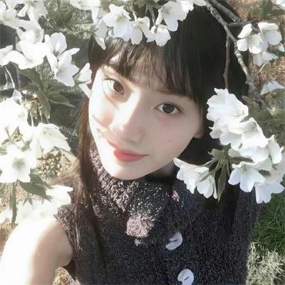 行尸之惧第七季